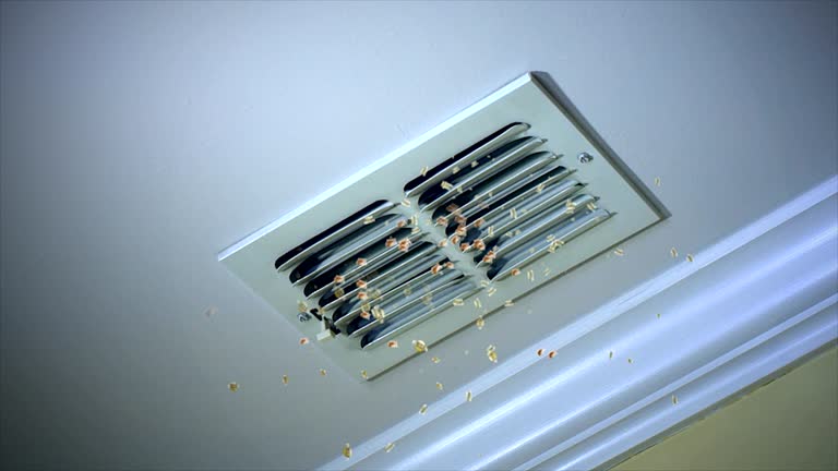 Best Air Duct Cleaning Near Me  in Rochester, WI