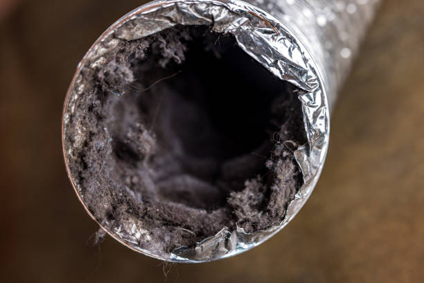 Best Air Vent Cleaning Services  in Rochester, WI