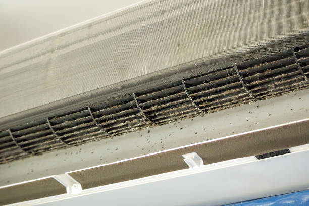 Best Commercial HVAC Duct Cleaning  in Rochester, WI